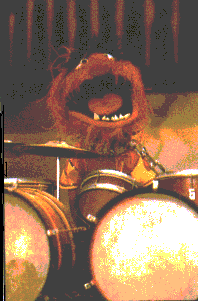 animal of the muppets at the drums ©John T. DeStefano 2001